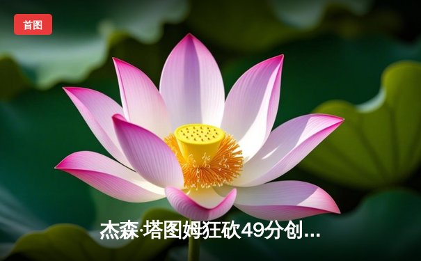 杰森·塔图姆狂砍49分创生涯新高，凯尔特人加时力克热火扳平东部决赛